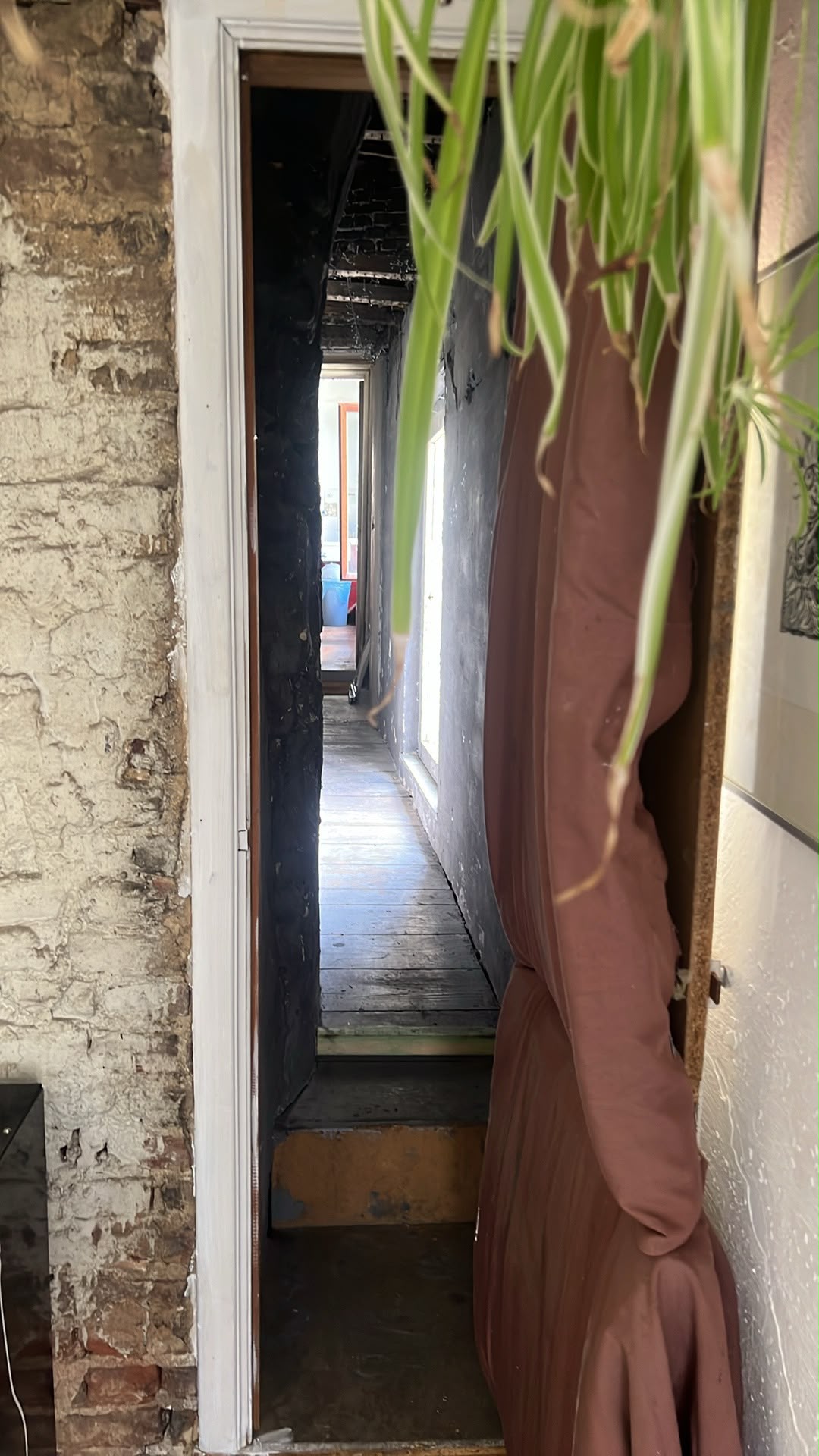 Narrow corridor inside the Black Teeth studio