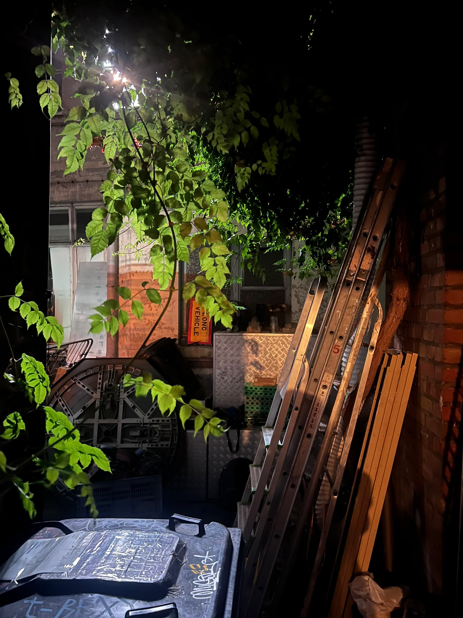 Greenery and equipment in the studio courtyard at night